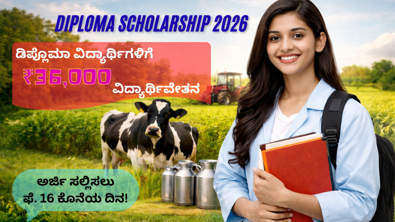 Diploma Scholarship 2026