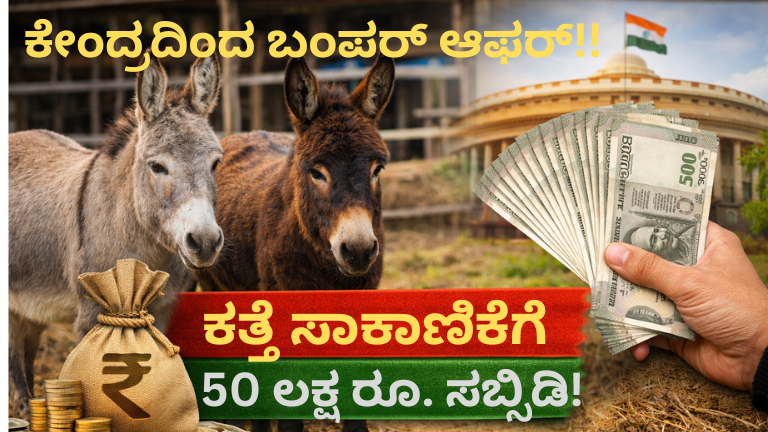 Donkey Farming Subsidy