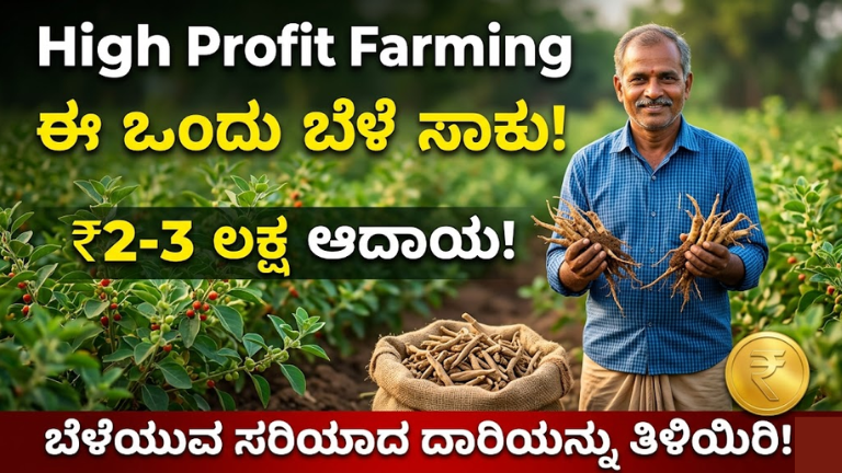 High Profit Farming